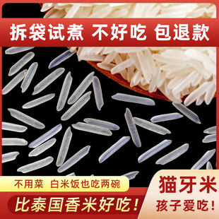 猫牙米泰国香米形状长粒香大米丝苗米煲仔饭专用米大米2023年新米