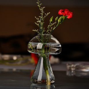 创意花瓶透明彩色玻璃田园风水培花瓶家居装饰摆件香薰小口花瓶