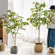 仿真柠檬树绿植盆栽北欧ins风网，红大型室内装饰花，客厅摆件假植物