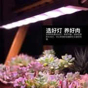 科瑞led植物生长灯全光谱多肉补光灯上色室内雨林缸盆栽微景观灯