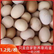 如皋农家草鸡蛋20枚土鸡蛋，农村散养五谷杂草蔬菜新鲜柴鸡蛋