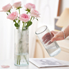 水养富贵竹玫瑰百合花瓶摆件大号，直筒玻璃透明客厅，插花装饰高级感