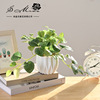 仿真绿植盆景创意时尚仿真花，家居小摆件装饰办公桌塑料假植物盆栽
