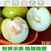 广西台湾蜜丝牛奶大青枣新鲜脆甜当季儿童孕妇水果5一10斤