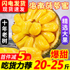 海南黄肉菠萝蜜新鲜水果，波罗蜜当季特产，一整个20-40斤整箱红