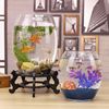 创意桌面鱼缸生态圆形玻璃金鱼缸乌龟缸迷你小型造景家用水族箱