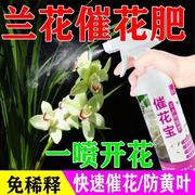 适合各种花的营养液兰花催花肥杜鹃花专用肥盆栽植室内花草营养液