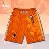 世界杯荷兰国家队足球卡，塔尔德佩球迷运动短裤男女，潮0015设无界