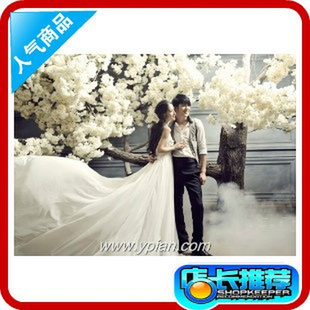 韩版白色花影楼婚纱主题背景摄影帆布银树花开摄影布拍照照相165