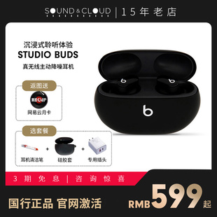 beatsstudiobuds真无线蓝牙耳机，主动降噪入耳式耳麦运动耳塞b