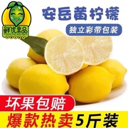 柠檬安岳柠檬黄柠檬(黄柠檬)一二级小柠檬新鲜柠檬水果5斤装
