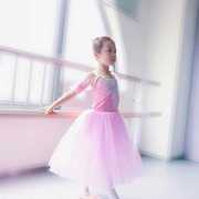 高档儿童专业芭蕾舞裙演出服成人现代舞L长版纱裙表演裙女童蓬