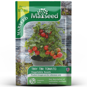 MARSEED火星家高产天竺葵之吻矮生小樱桃番茄种子孑籽苗阳台