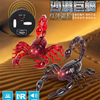 遥控蝎子整蛊道具吓人动物，仿真昆虫模型儿童充电电动玩具创意礼物
