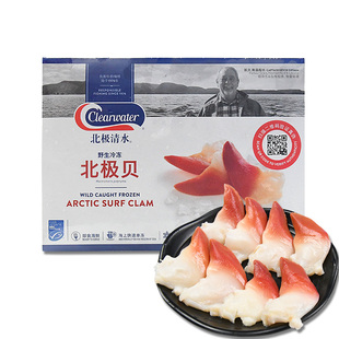 新鲜冷冻进口加拿大北极贝刺身整只装 日料寿司三文鱼刺身伴侣