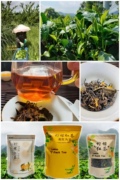 柠檬英红九号红茶柠檬，红茶英德特产