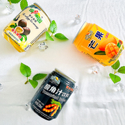 傣乡果园芒果汁238ml*12罐装，饮料云南特产酸角汁百香果风味饮品