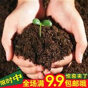 盆栽肥料花卉植物有机育苗基质土 养花土无菌种P菜营养土500克包
