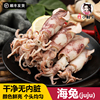 新鲜海兔子juju500g鲜活笔管，鱼墨鱼仔不带籽温州特产，海鲜水产品