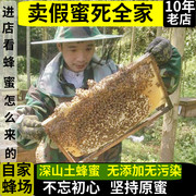 深山蜂蜜纯正天然农家自产野生土蜂蜜龙眼桂圆蜜百花冬蜜福建特产