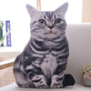 仿真创意猫咪抱枕毛绒玩具猫，靠垫枕学生儿童女生日情人节礼物