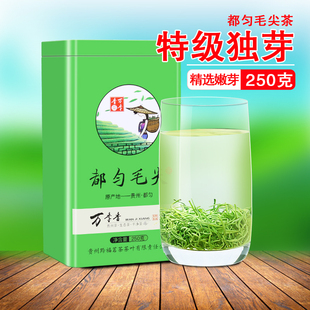 贵州茶叶都匀毛尖2024新茶，特级茶叶炒青绿茶，春茶浓香型散装250克