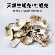 鱼缸滤材天然蚝壳牡蛎壳锦鲤鱼池过滤材料稳定PH值加钙水质调酸碱