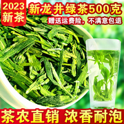 2023年新茶 浓香茶叶龙井茶 绿茶 春茶雨前龙井 散装茶农500g