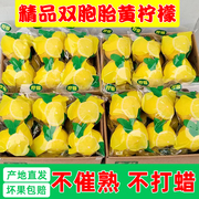 四川安岳黄柠檬(黄柠檬)双胞胎，一级大果新鲜水果皮薄多汁奶茶店专用