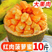 越南进口红肉菠萝蜜一整个红心波罗蜜6-18斤当季新鲜水果整箱