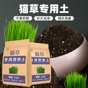 种猫草土专用营养土培养土疏松花盆栽花土有机土通用泥土种植土壤