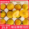 现摘砀山新鲜黄(新鲜黄)桃10斤应当季时令孕妇水果软脆大毛桃子整箱5