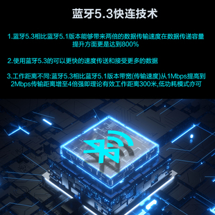 定制BL53A TPA3116 2.0数字功放机 家用桌面100W*2红环电感 蓝牙5