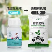 水生田生根剂生根液生根壮苗，剂强力扦插快速生根粉植物通用水多肉