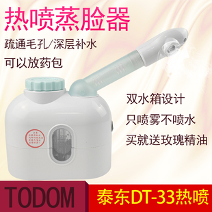 泰东DT-33喷雾美容热喷蒸脸仪面部中药加热薰蒸仪送玫瑰精油