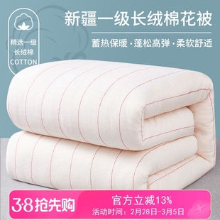 新疆一级长绒棉被棉花被子秋冬被芯加厚保暖纯棉花冬天棉絮床垫被