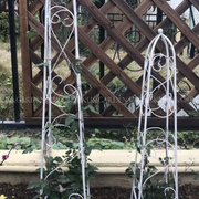 欧式铁艺花架落地式植物，爬藤架做旧攀爬架户外庭院阳台铁线莲支架