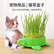 猫草盆栽懒人无土水培种植盒有机猫草猫咪零食小麦种子培育盘套装