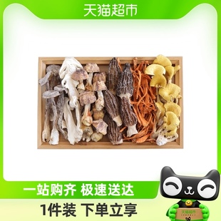 特级六珍菌汤包云南特产100g菌菇汤料包姬松茸羊肚菌干货煲汤食材