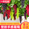 仿真水果葡萄串塑料提子，假水果模型绿色，吊顶植物装饰水果装饰挂饰