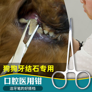 宠物用品钳子狗狗牙结石去除器，口腔除臭去牙结石，洁牙神器工具泰迪