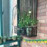 铁艺阳台栏杆花架护栏，悬挂花盆植物架户外壁挂窗台置物架