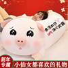 2024新年猪猪公仔毛绒玩具，女生玩偶抱枕睡觉抱着女孩娃娃生日礼物