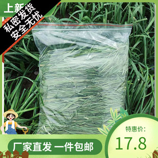 新23年烘干提摩西草北提干草兔子粮兔饲料荷兰猪龙猫牧草500g