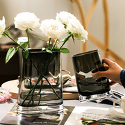 客厅花瓶摆件高级感简约创意玻璃，花瓶透明水养插花鲜花装饰ins风
