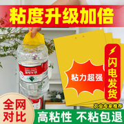 粘虫板黄板双面诱虫板蓝板小黑飞粘飞虫纸农用大棚蓟马粘虫板