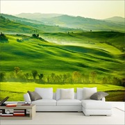 电视背景墙壁纸客厅沙发现代简约清新田园绿色，草地风景画墙纸壁画