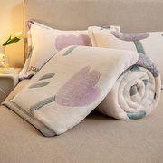 夏季珊瑚毯子盖毯午睡毛巾小被子床单人薄款空调办公室法兰绒毛毯
