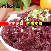 新鲜健康素菜凉拌菜冰藻60g 食用海草海藻海产品藻类凉菜福建特产