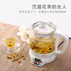 台湾汉方养生壶加厚玻璃煮茶壶，电热水壶分体，多功能煎药壶2l